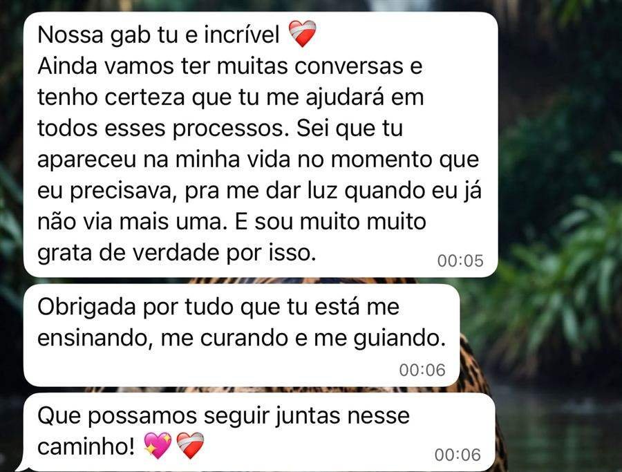 Print de conversa no WhatsApp com um agradecimento sobre o acompanhamento recebido